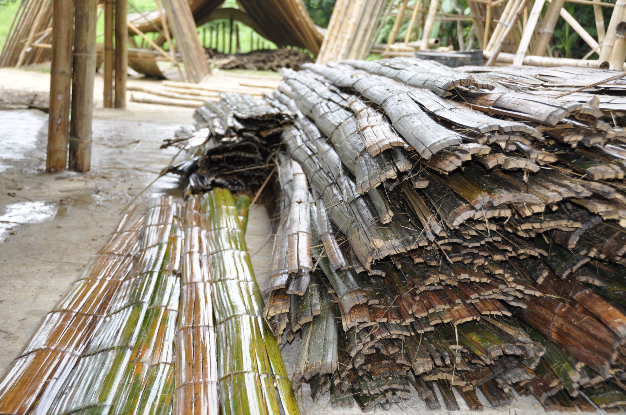 Why Bamboo Is More Strong Than Steel Reinforcement