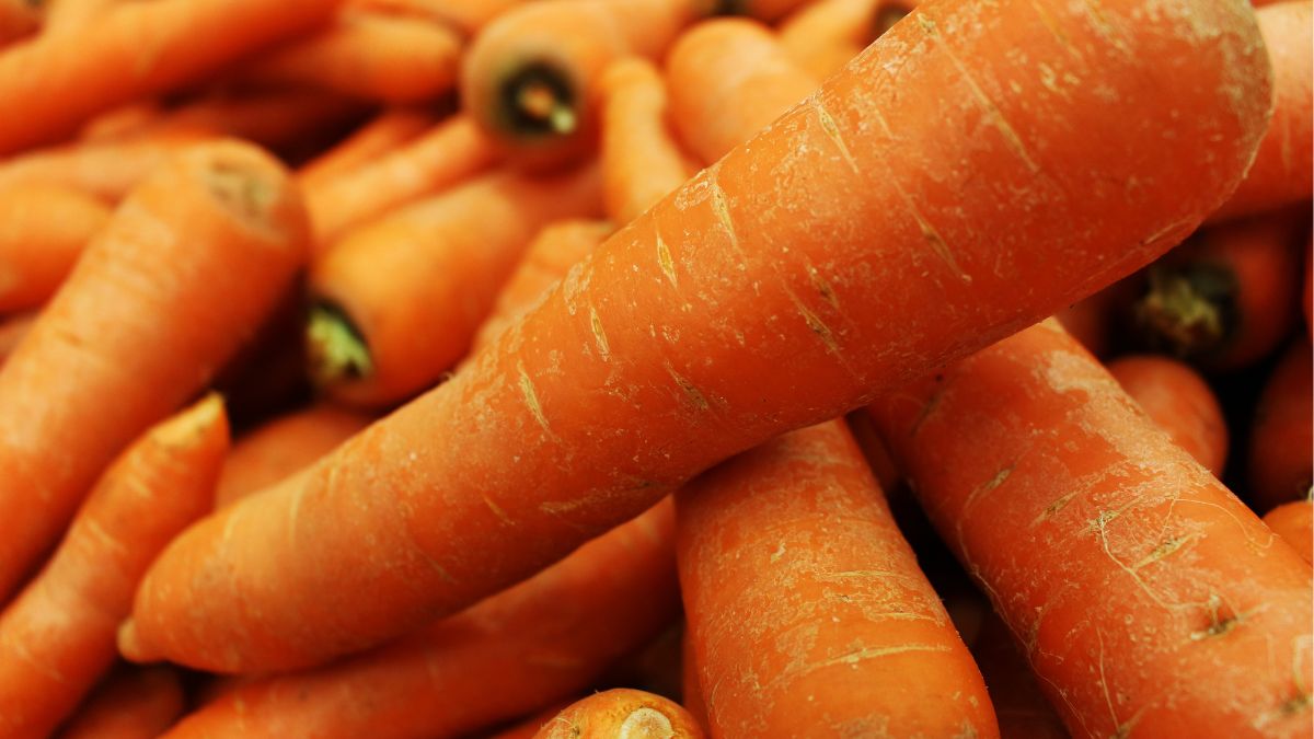 Nutrition Facts Of Carrot