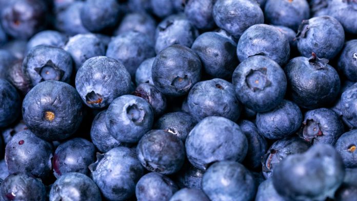 5 Health Benefits From Blueberries