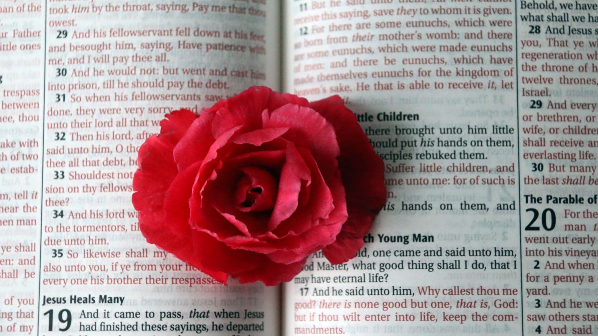 How To Make Paper Rose