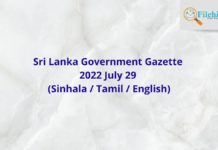 Government Gazette 2022 July 29