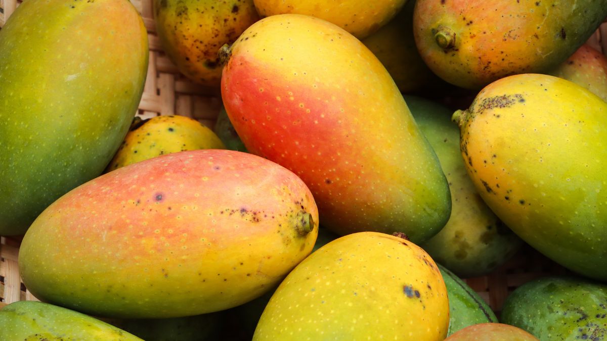 Benefits Of Mangoes