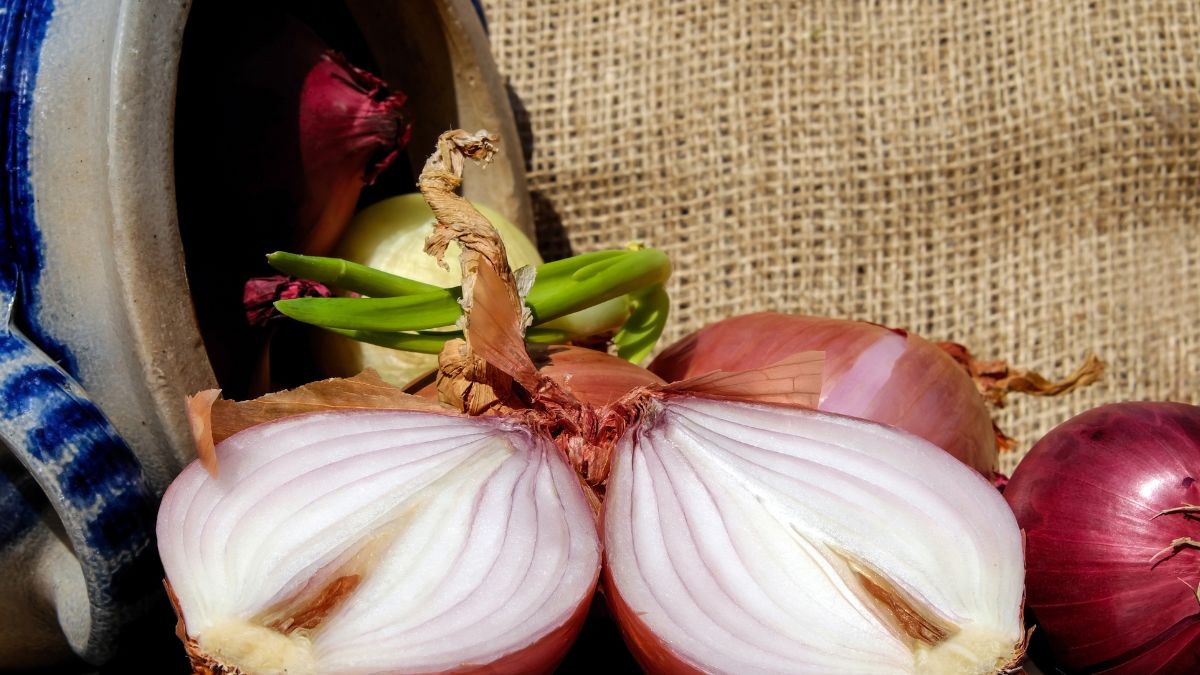 Garlic For a Toothache