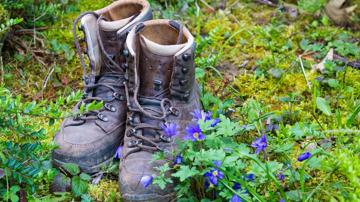 Hiking Boots Best Ankle Support